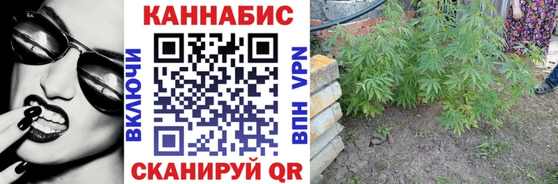 магазин    Люберцы  Канабис марихуана 